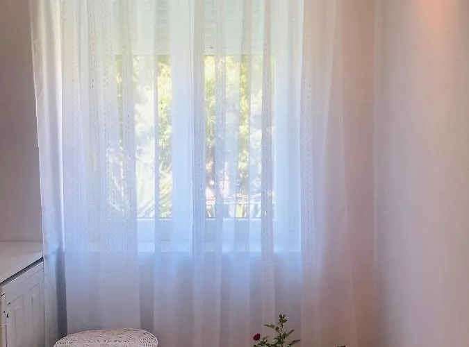 Stylish For 6 In * آداماس